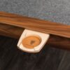 Maple