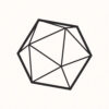 Single D20
