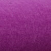 Barney